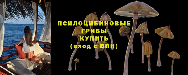 дурь Беломорск