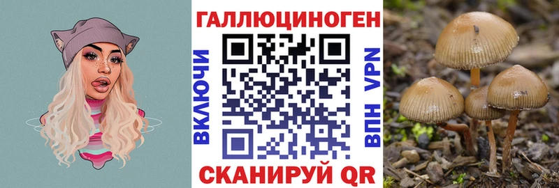 Псилоцибиновые грибы ЛСД  Губкинский 